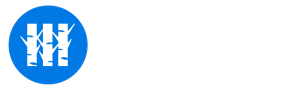 Blue Aspen Marketing