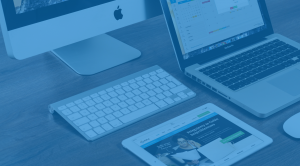 Web Design and Development