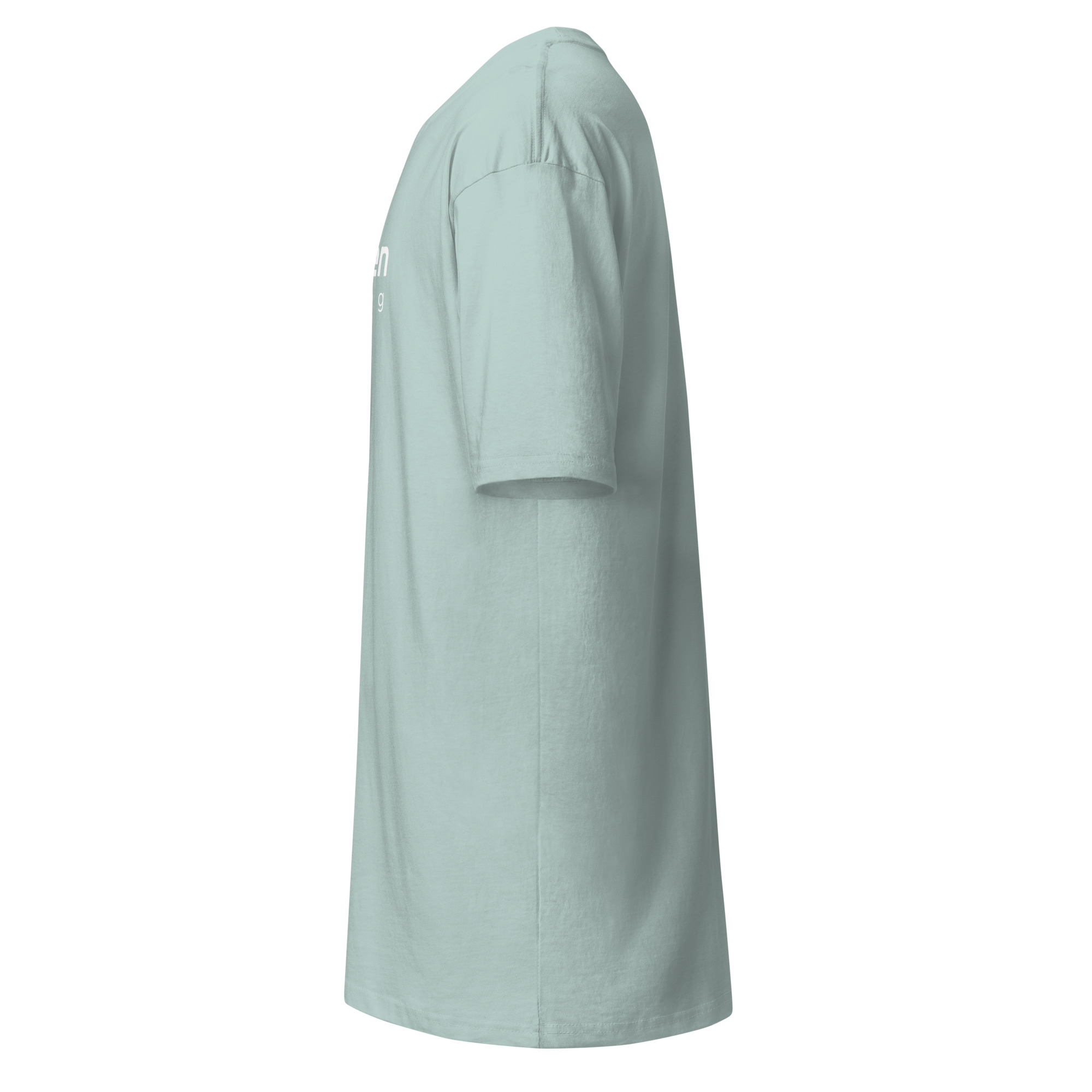 Men’s premium heavyweight tee - Image 14